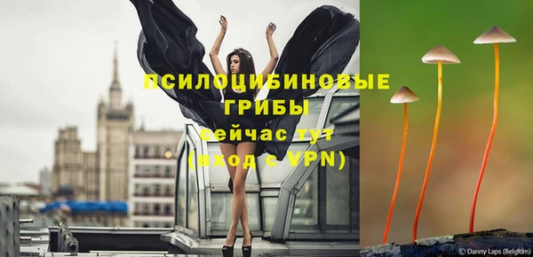 spice Алексеевка
