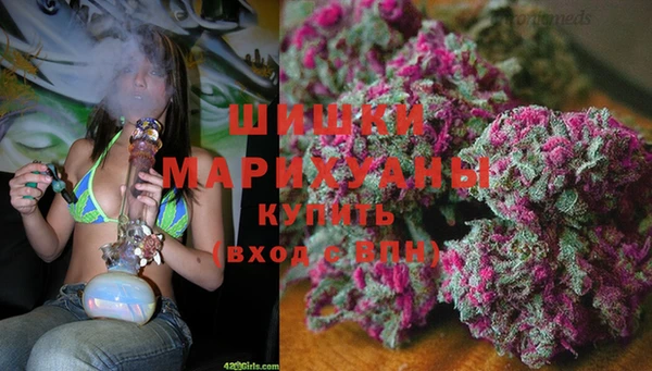 индика Кукмор